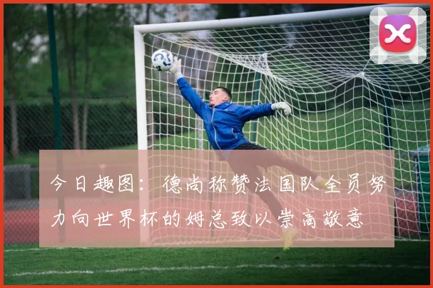 今日趣图：德尚称赞法国队全员努力向世界杯的姆总致以崇高敬意
