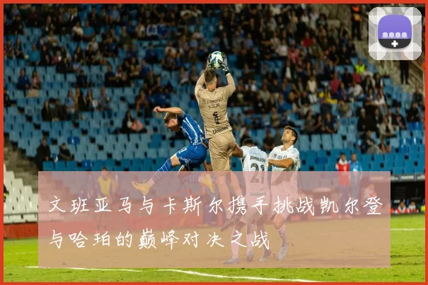 文班亚马与卡斯尔携手挑战凯尔登与哈珀的巅峰对决之战